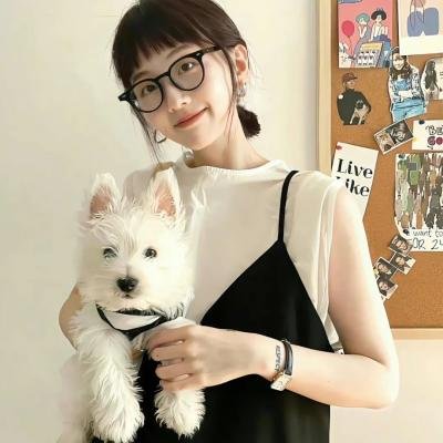 浪子恋